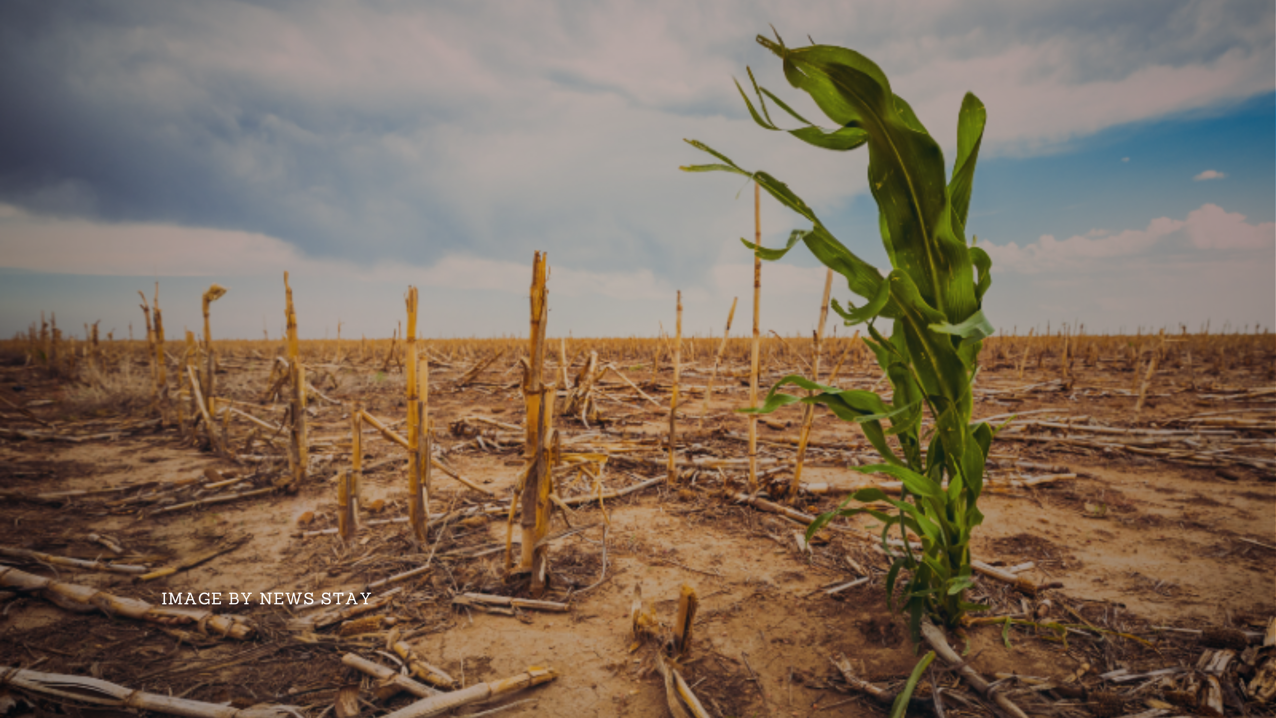 Climate Change and Agricultural Crises: The Essential Connection