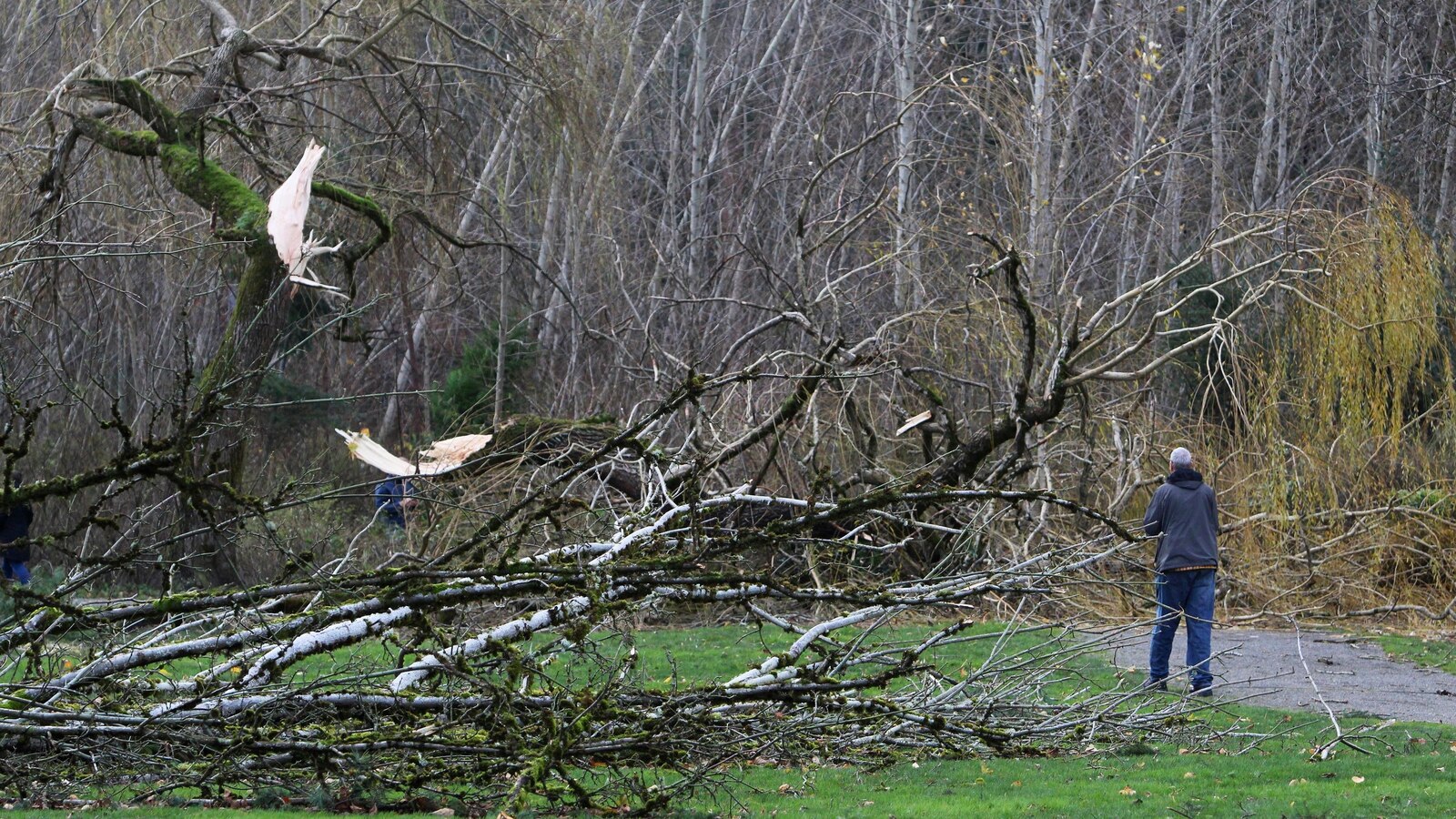 Atmospheric river and potential bomb cyclone bring chaotic winter weather to East Coast