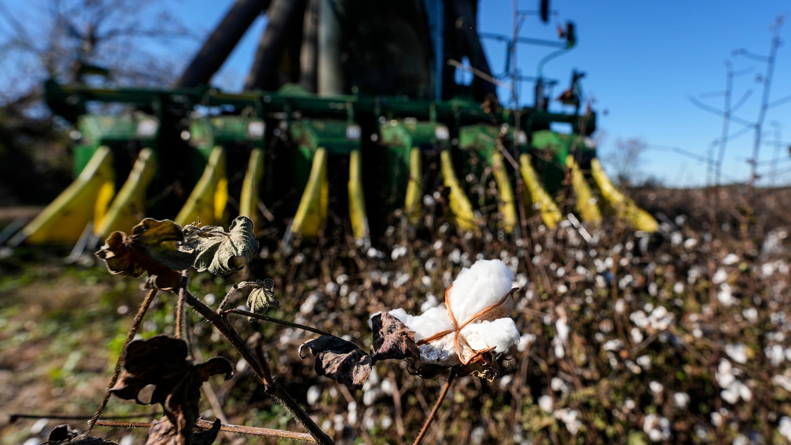 Farmers still reeling months after Hurricane Helene ravaged crops across the South