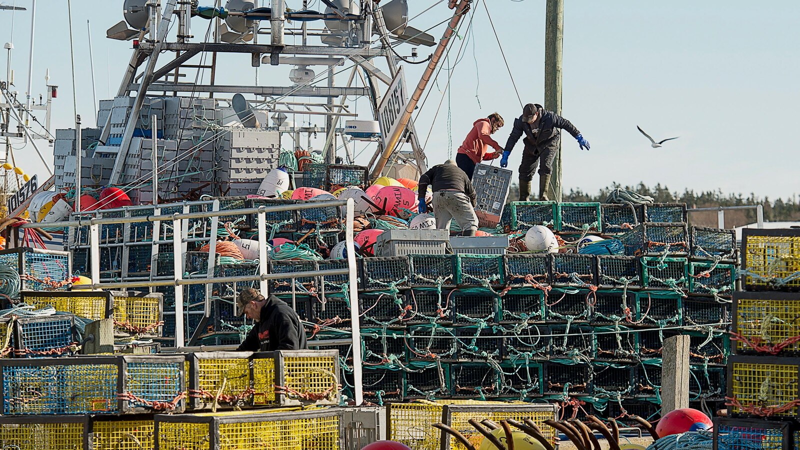 Some in seafood industry see Trump as fishermen’s friend, but tariffs could make for pricier fish