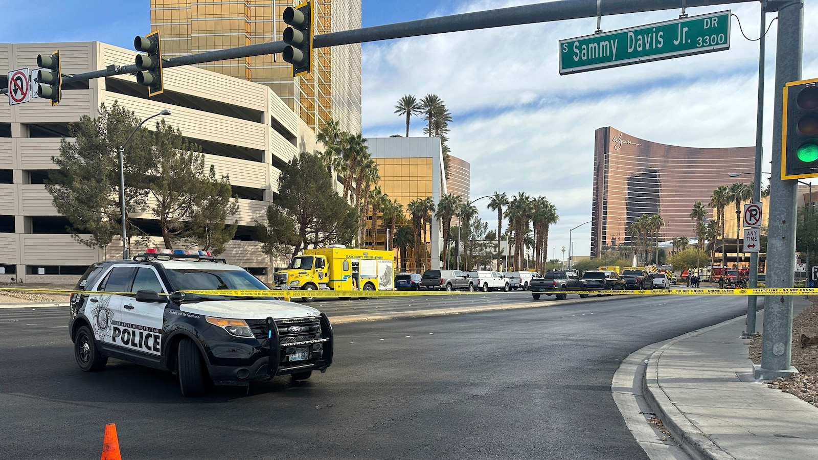 Firework mortars, gas cannisters stuffed inside Tesla that exploded outside Trump’s Las Vegas hotel